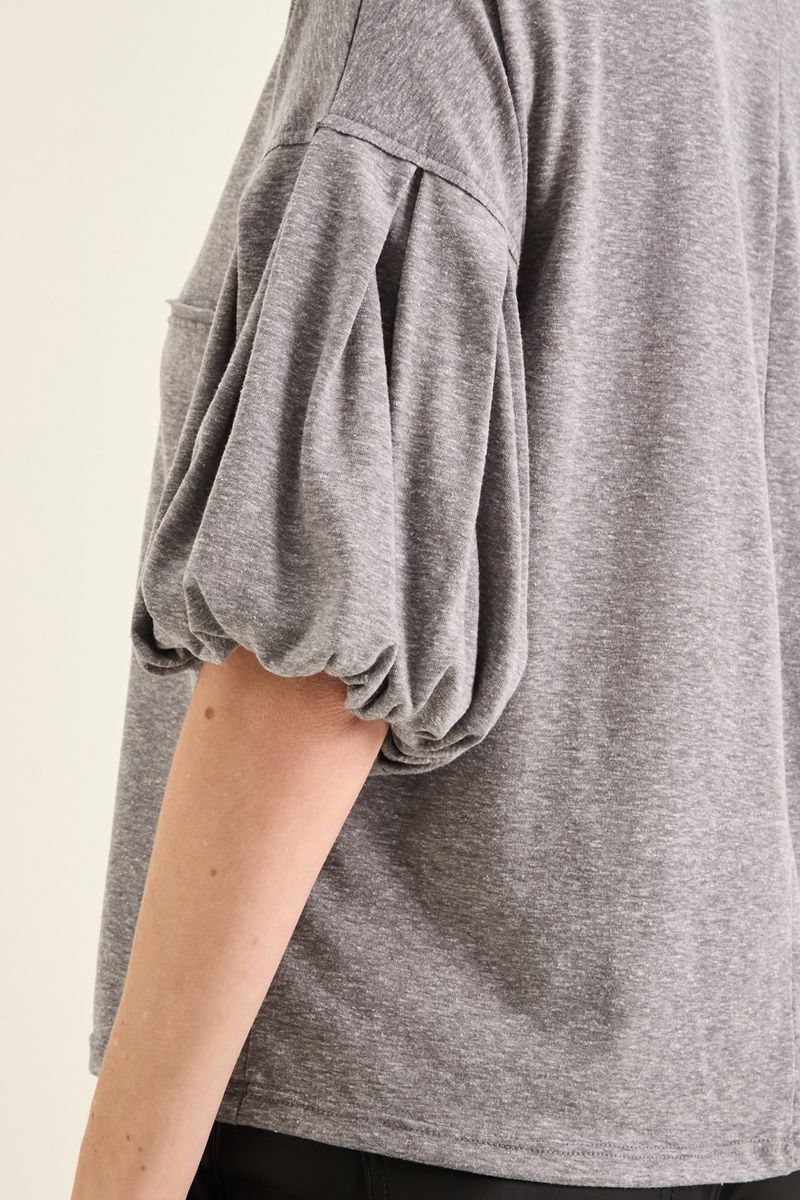 remeron-moly-gris-2.jpg